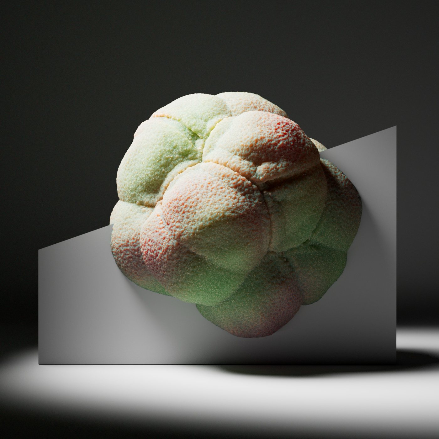 Organic 2022 – Organic Shape VA 2022