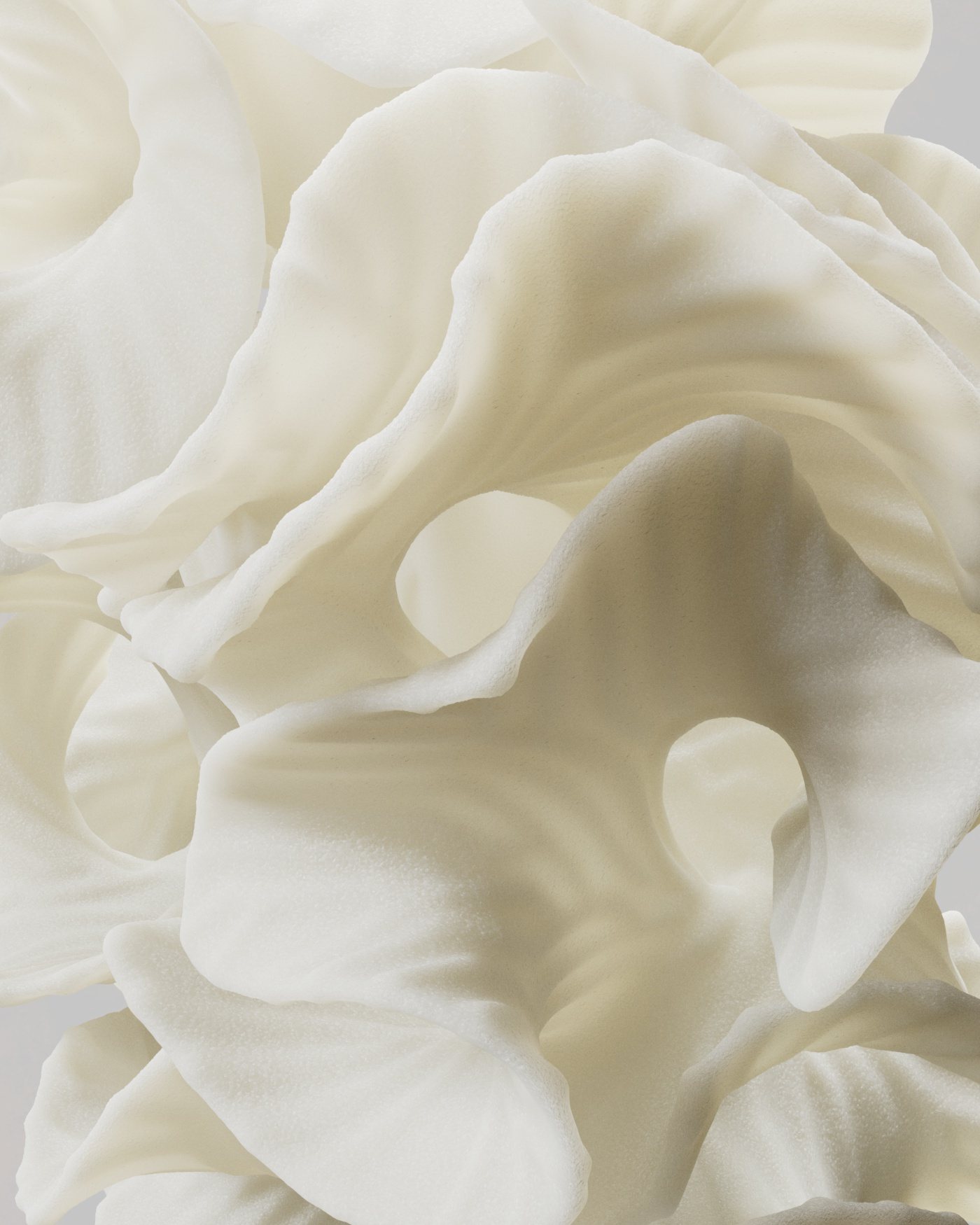 Organic 2022 – Organic Shape VA 2022