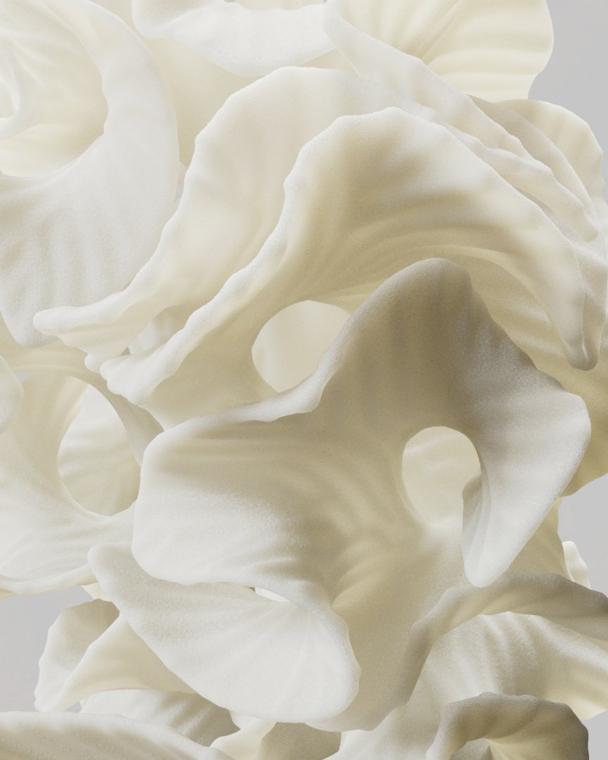 Organic 2022 – Organic Shape VA 2022