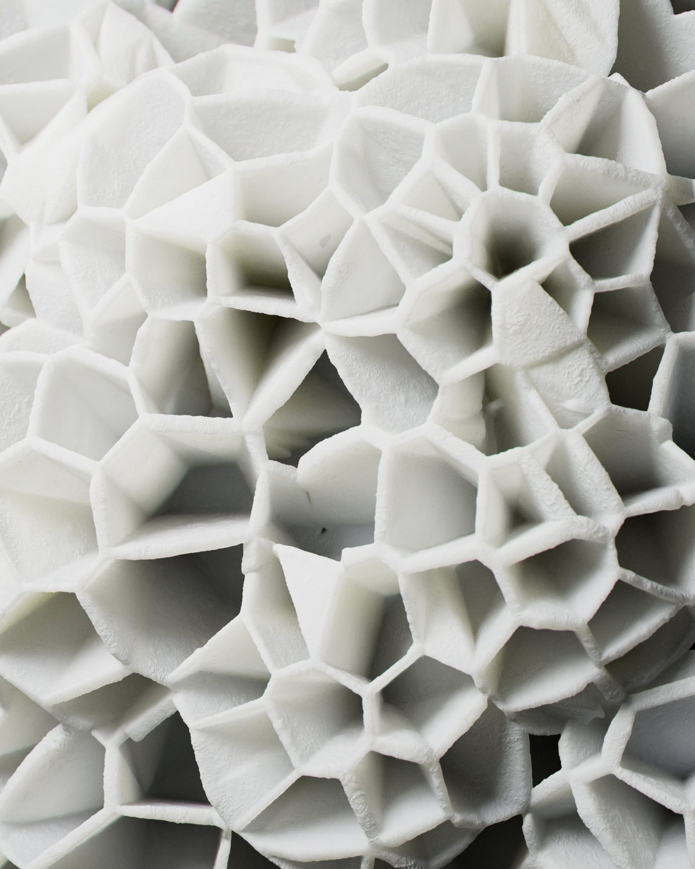 Organic 2022 – Organic Shape VA 2022