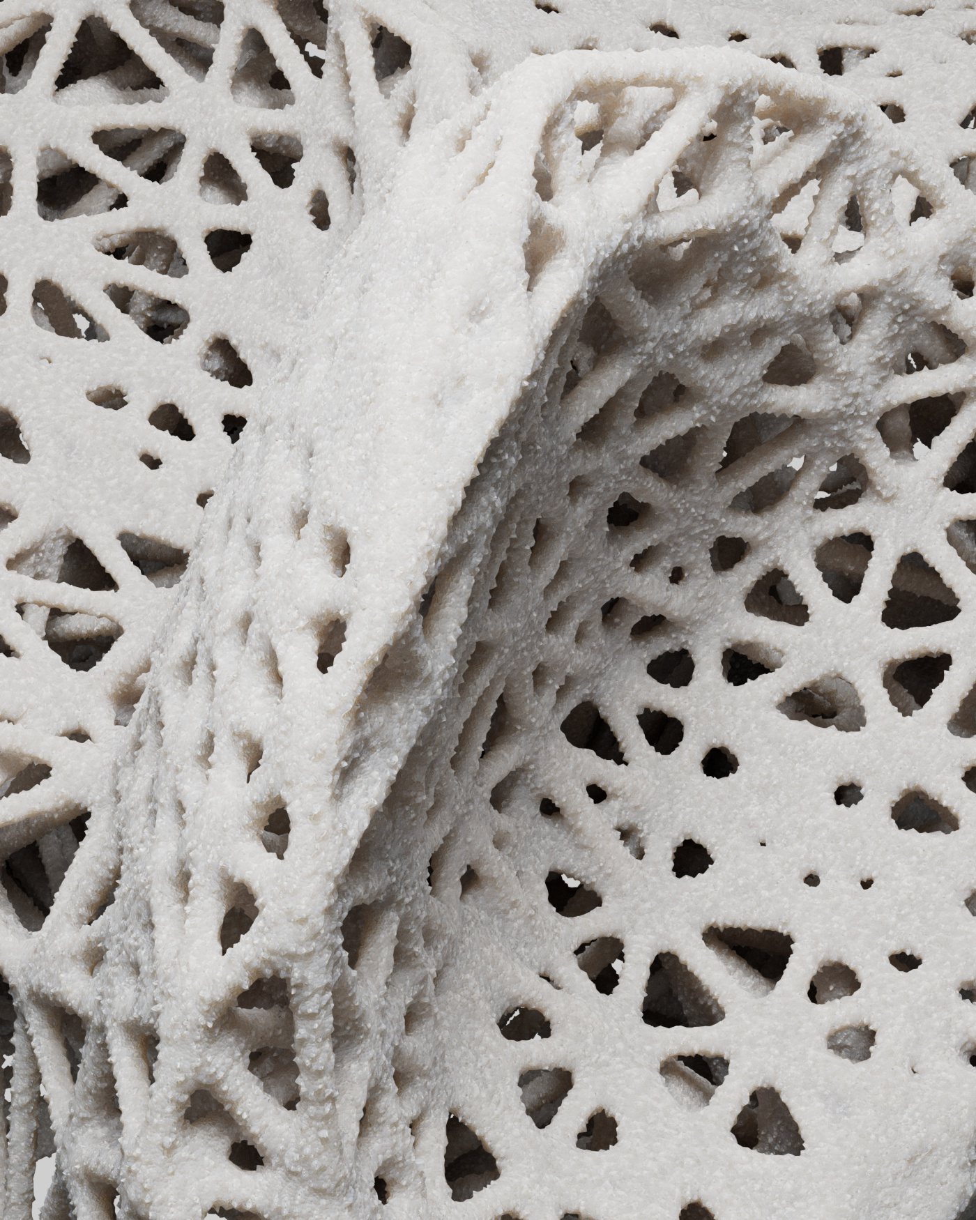 Organic 2022 – Organic Shape VA 2022