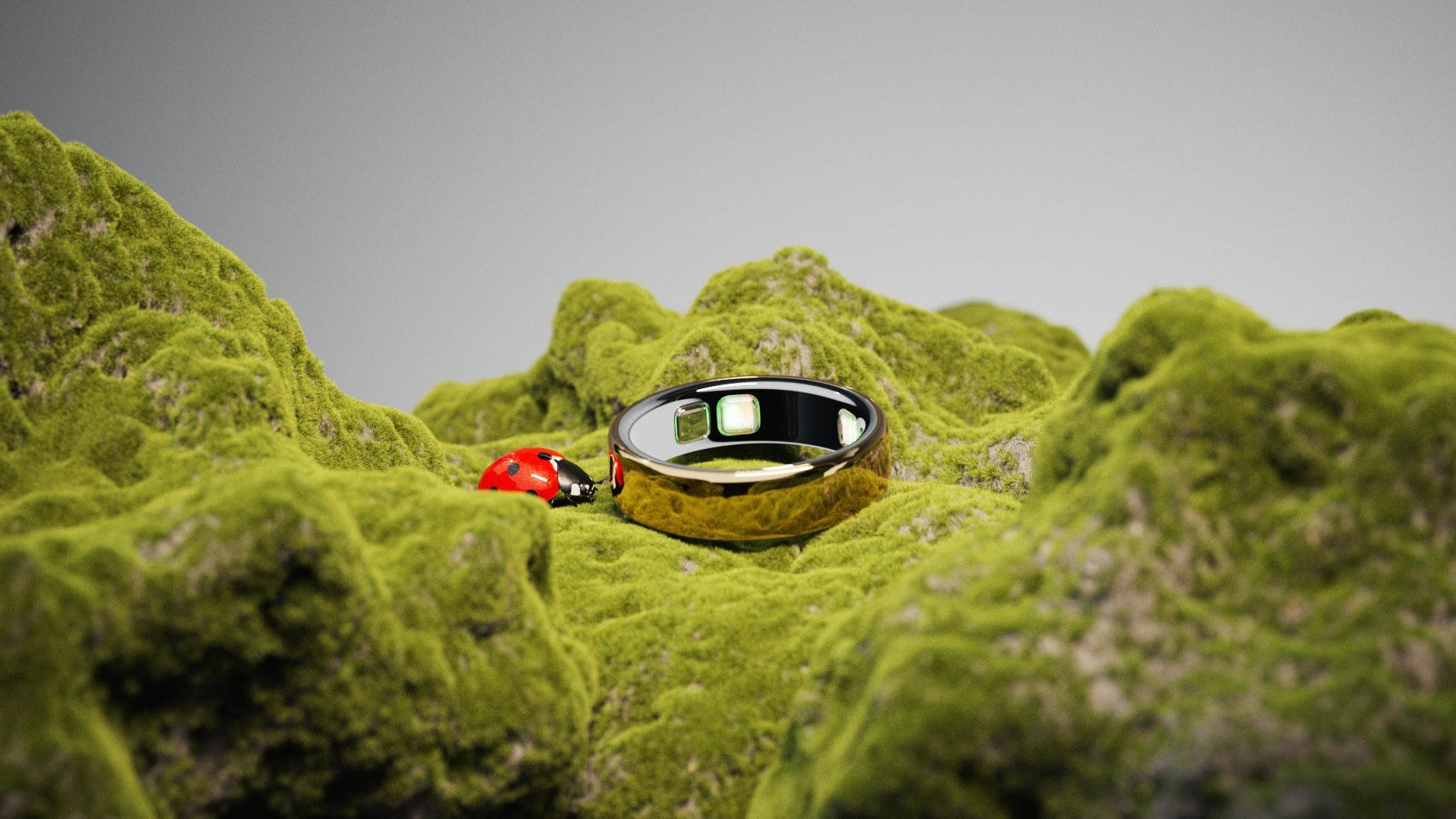 Oura Ring 2026 – ladybug Nature