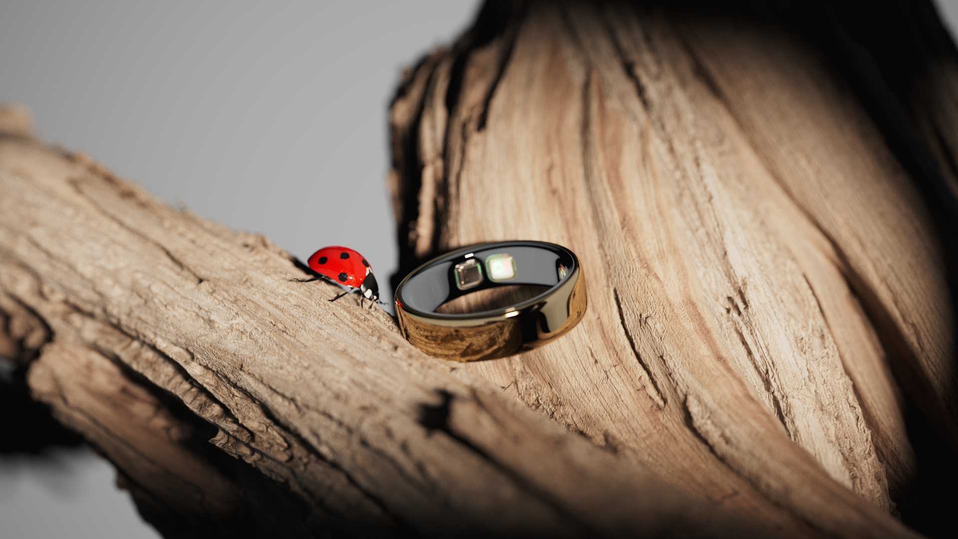 Oura Ring 2026 – ladybug Nature