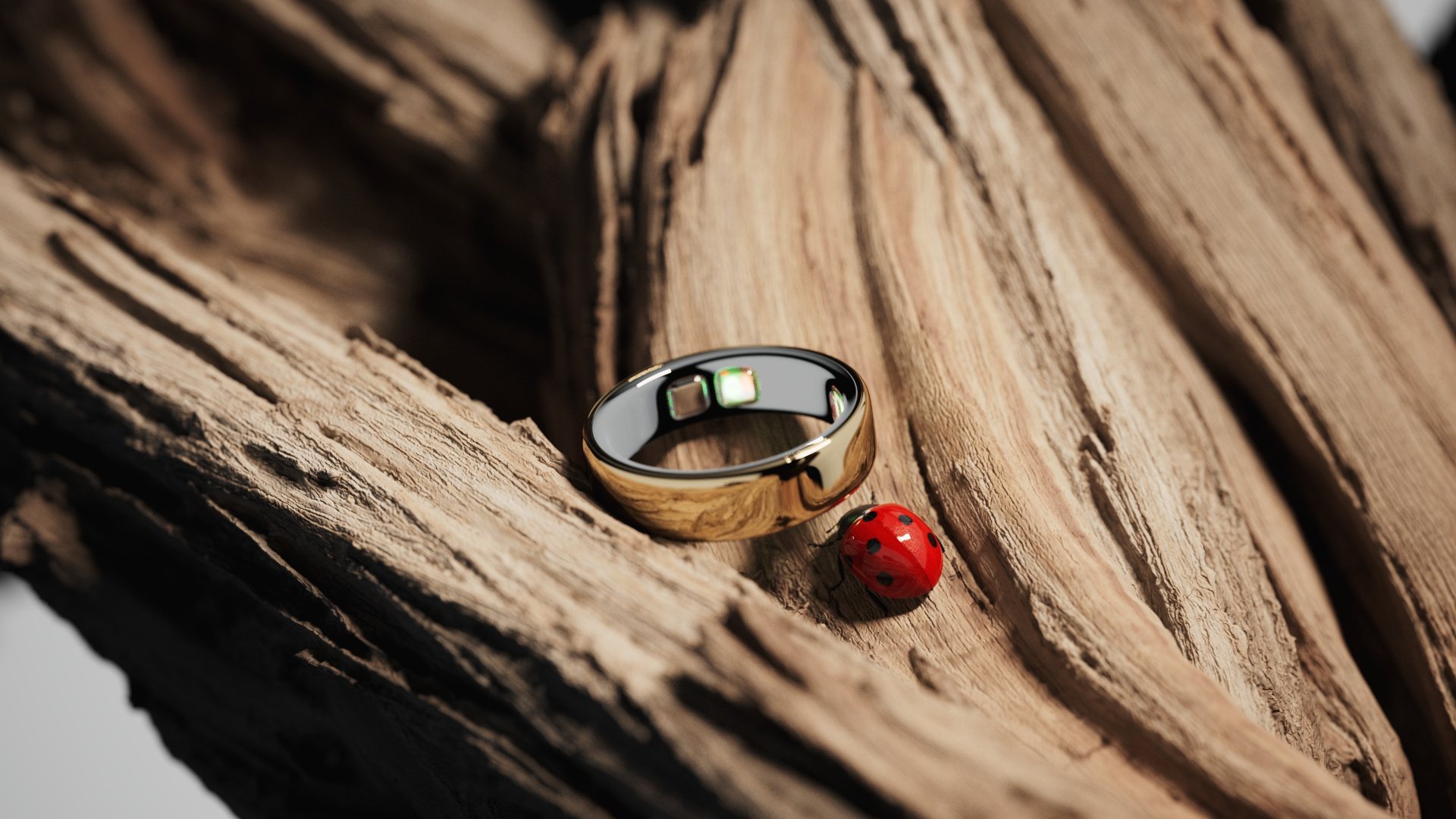 Oura Ring 2026 – ladybug Nature