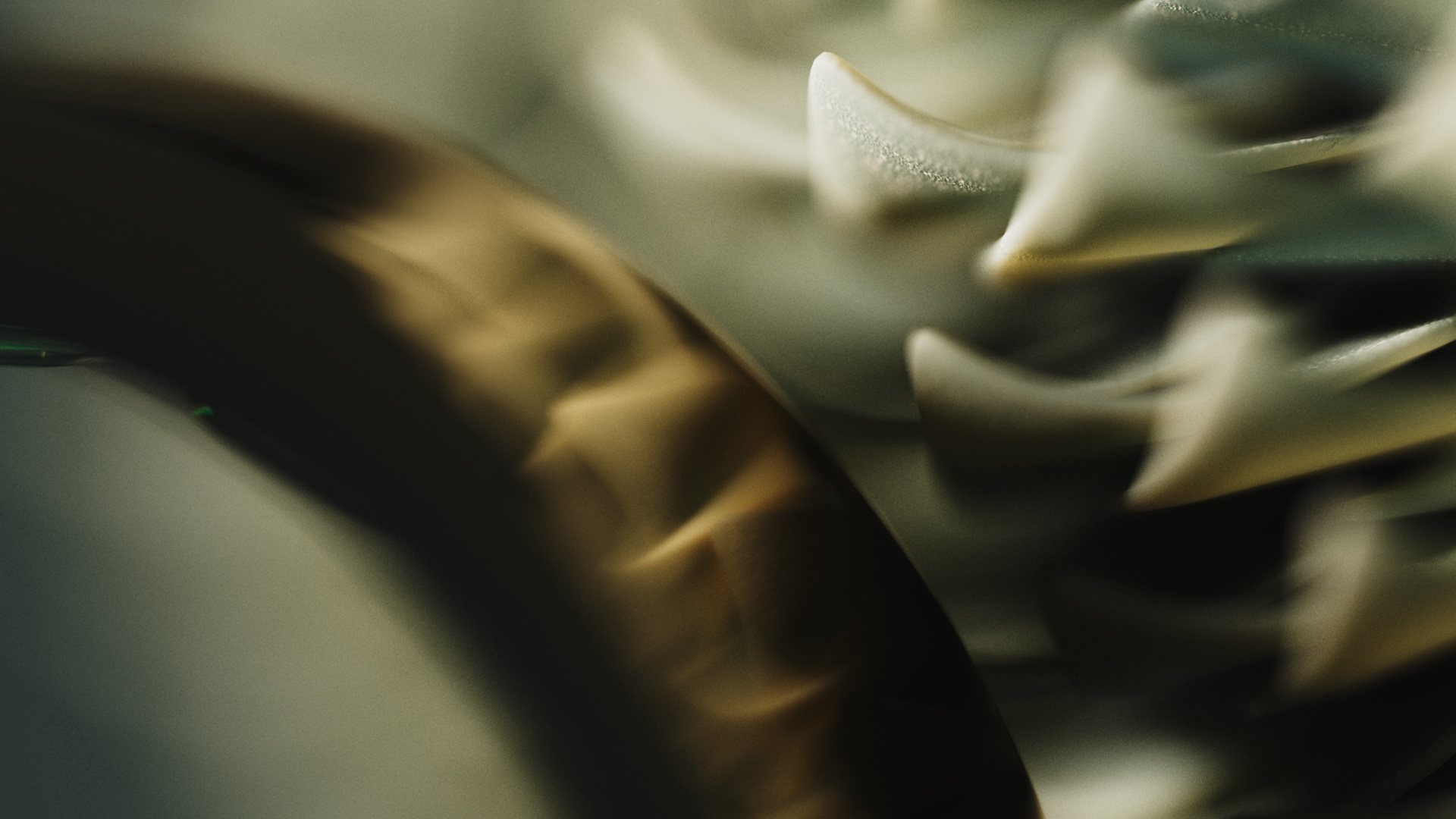 Oura Ring 2026 – Macro Densi