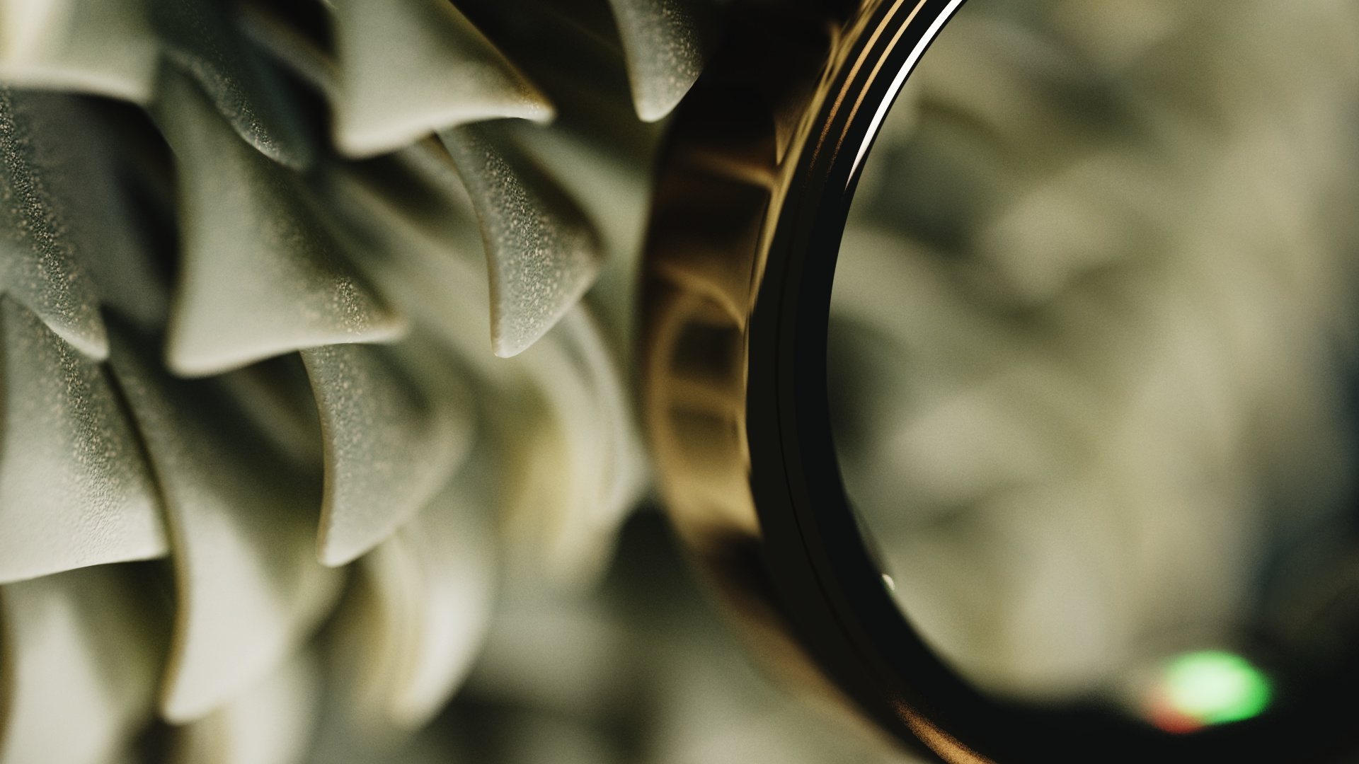 Oura Ring 2026 – Macro Densi