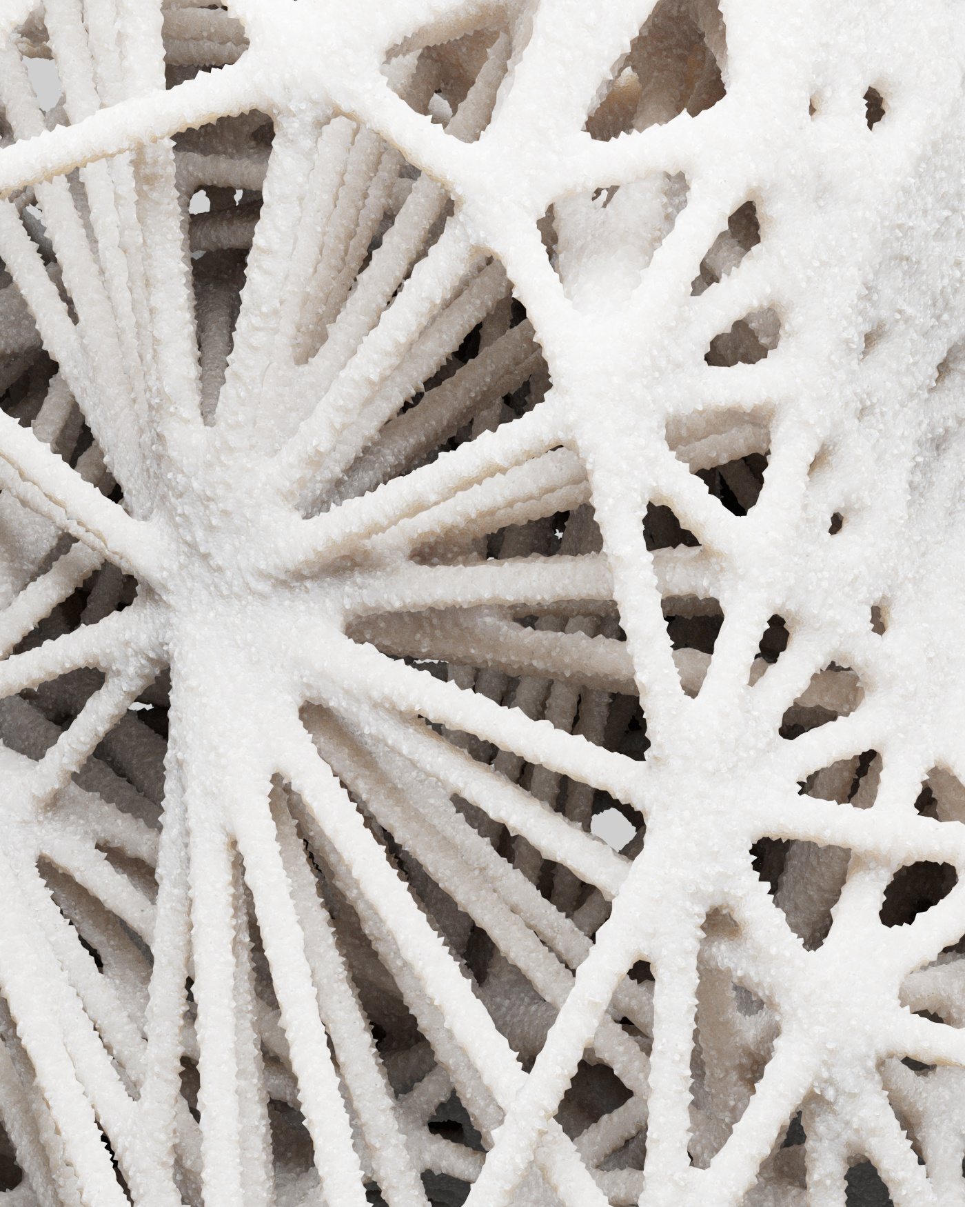 Procedural Organic