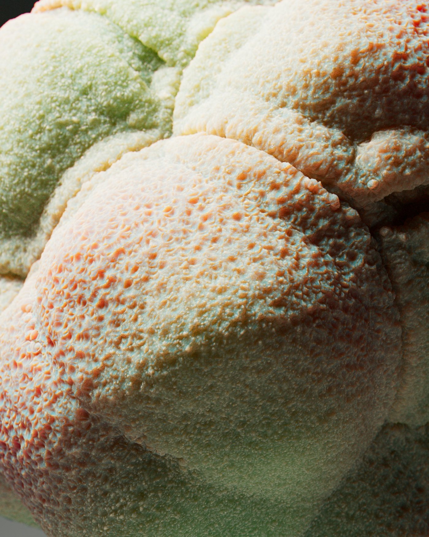 Procedural Organic – 1