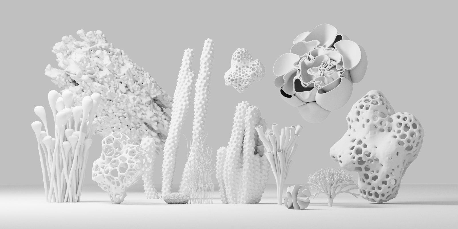 Summer Reef – 12