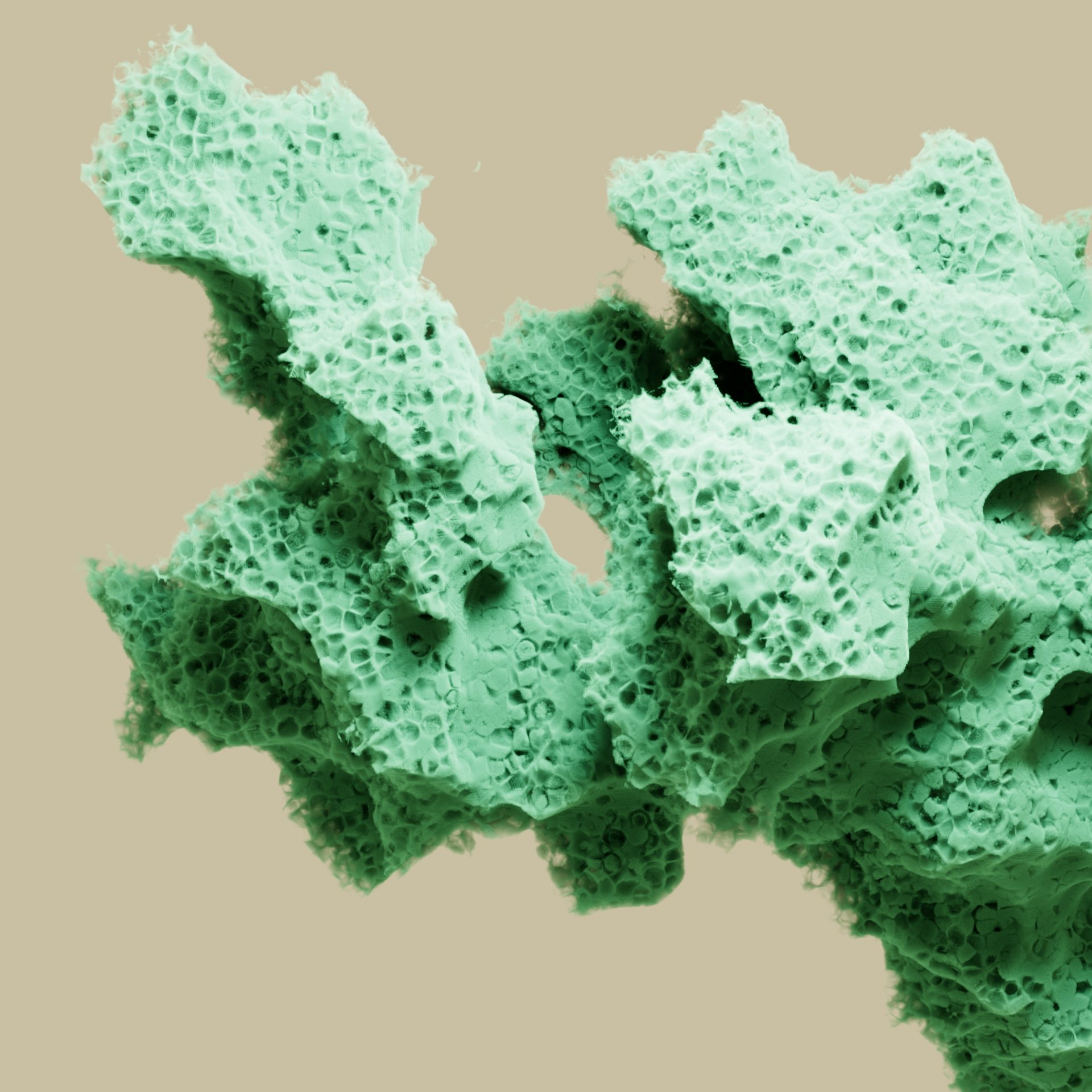 Tuft & Needle – foam001